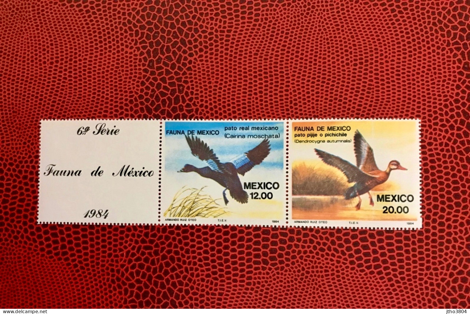 MEXICO 1984 2v Neuf MNH ** Mi 1893 1894 Pájaro Bird Pássaro Vogel Ucello Oiseau - Canards