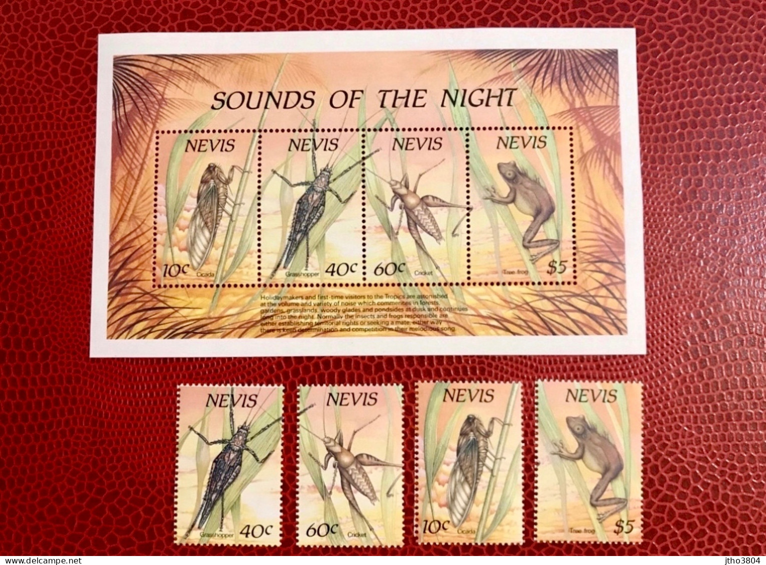 CHRISTOPHE NIEVES NEVIS 1989 Bloc 4v 4v Neuf MNH ** Mi Bl 19 514 / 517 Frog Rana Insecto Insect Insekt Inseto Insetto - Kikkers