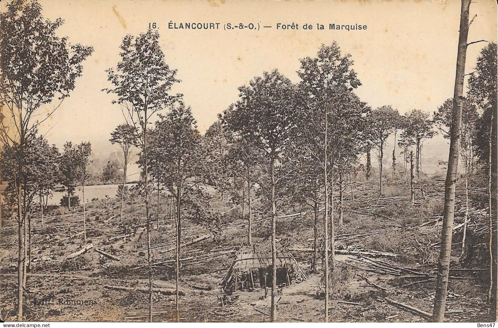 78 ÉLANCOURT Forêt De La Marquise - Elancourt