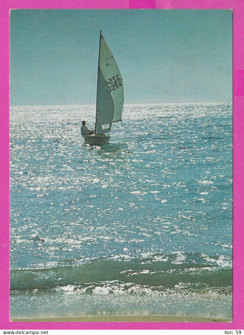 309176 / Summer In Bulgaria - Sport Sailing Segeln Navigation A Voile Man 1988 PC Bulgarie Bulgarien Bulgarije   - Voile