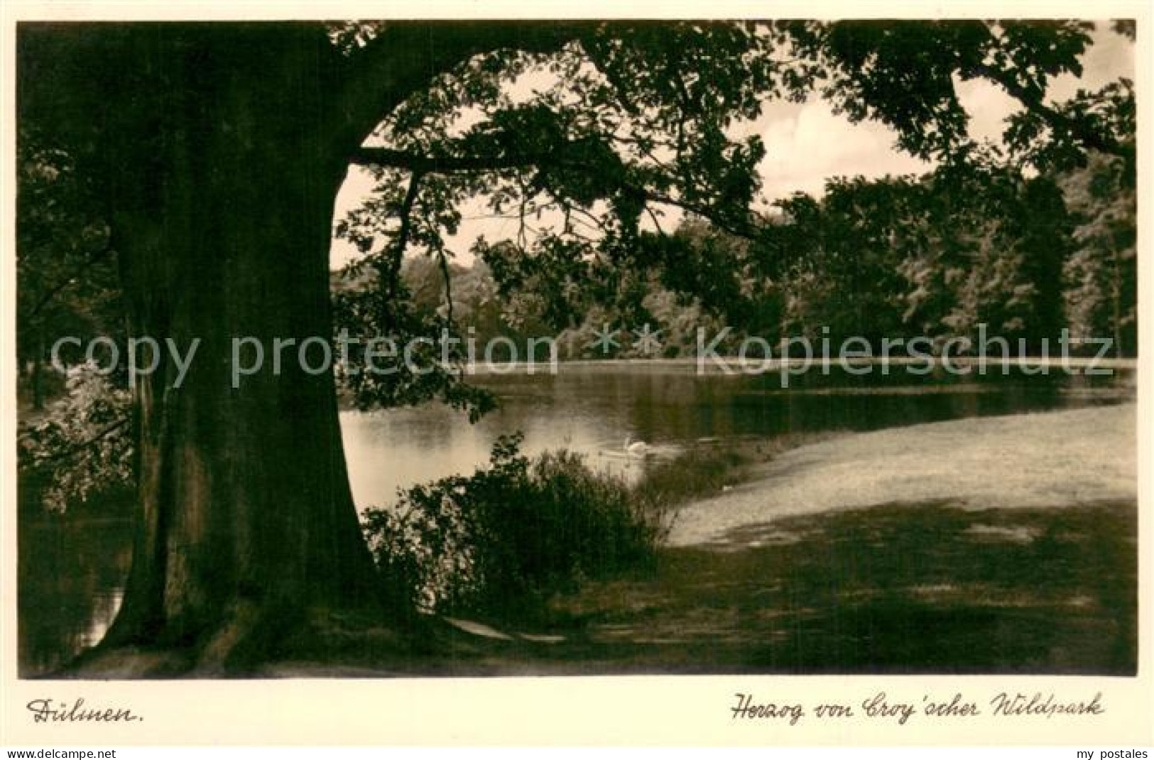 73695502 Duelmen Herzog Von Croy'scher Wildpark Uferpartie Am See Duelmen - Dülmen