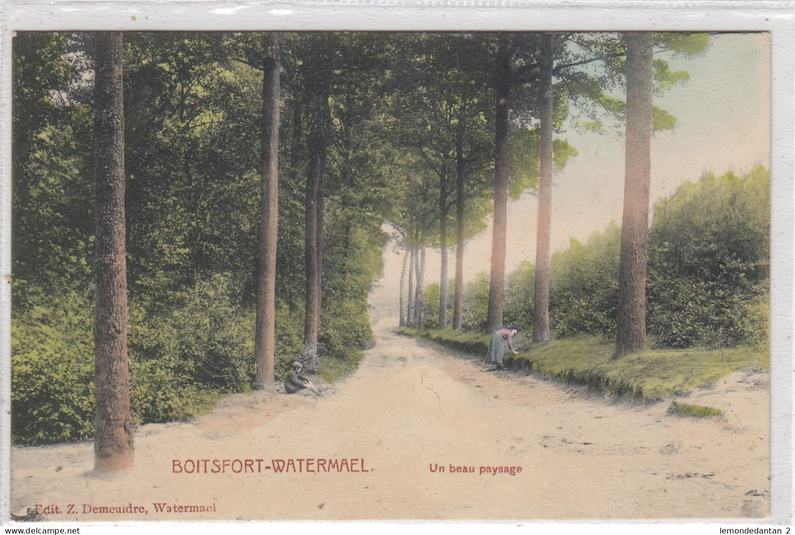 Boitsfort-Watermael. Un Beau Paysage. * - Watermaal-Bosvoorde - Watermael-Boitsfort