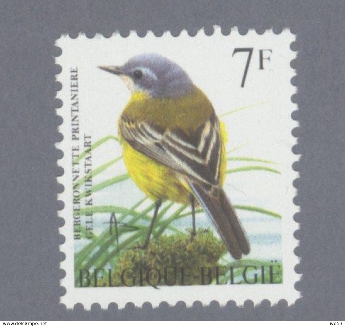 1997 Nr 2725** Vogels,gele Kwikstaart. - Sonstige & Ohne Zuordnung