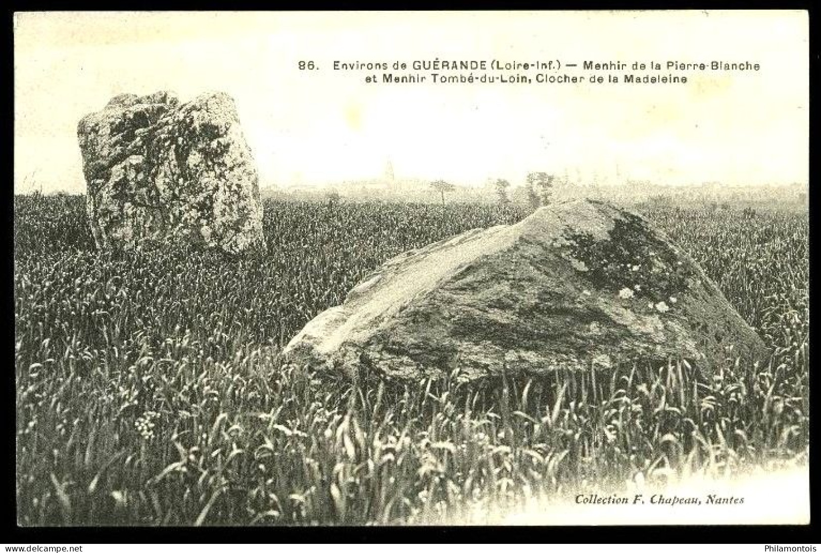 Environs De GUERANDE - 86 - Menhir De La Pierre-Blanche Et Menhir Tombé-du-Loin. - Dolmen & Menhirs