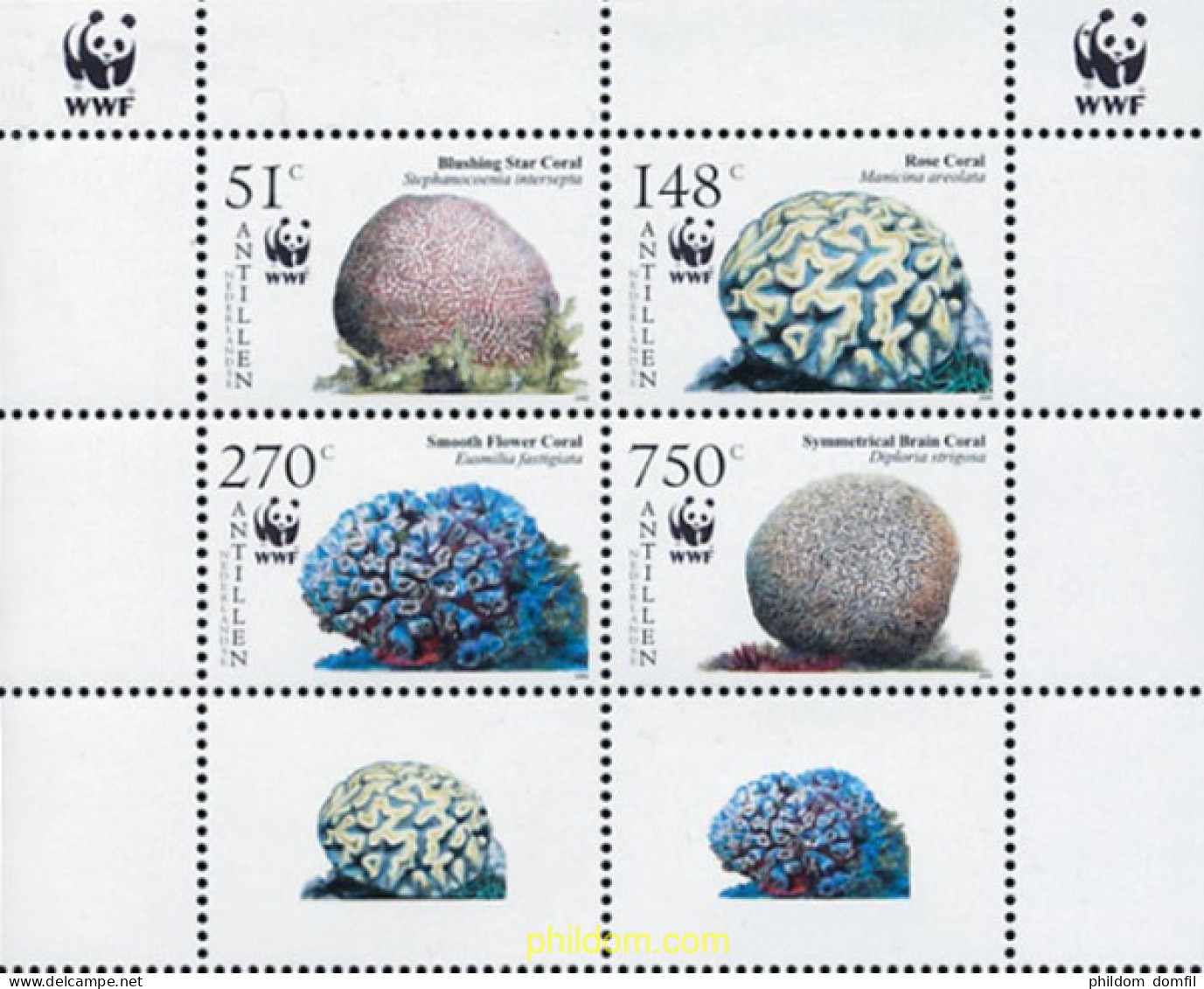 724724 MNH ANTILLAS HOLANDESAS 2005 CORALES - Antillen