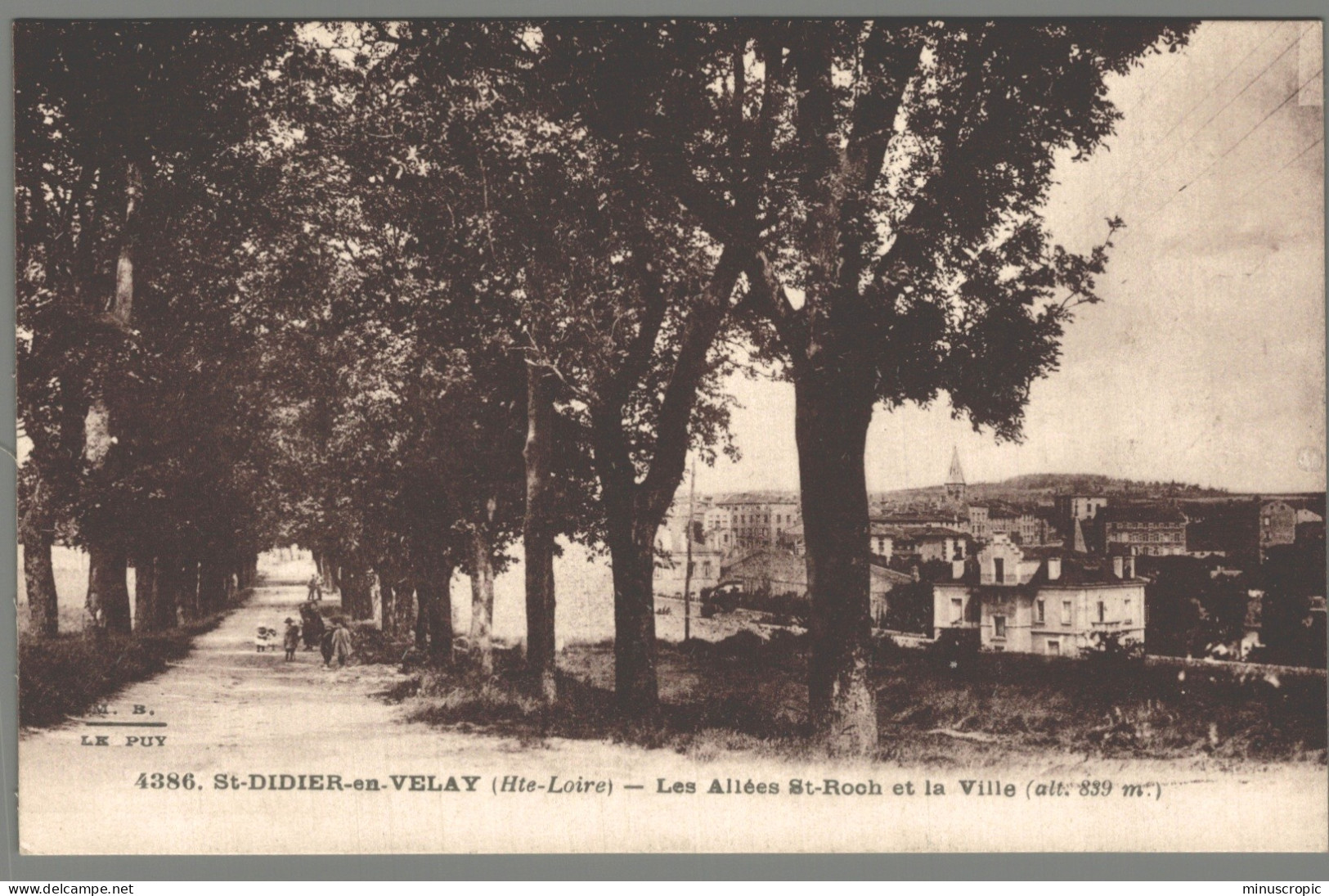 CPA 43 - Saint Didier En Velay - Les Allées Saint Roch Et La Ville - Saint Didier En Velay