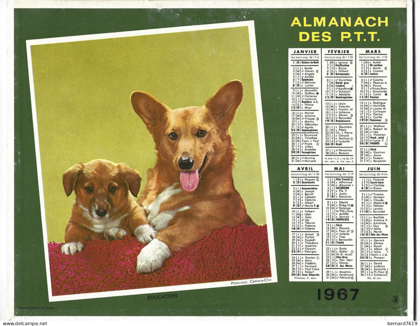 Almanach  Calendrier  P.T.T  -  La Poste -  1967 -  Chat - Chien - Alliance Education - Grand Format : 1961-70