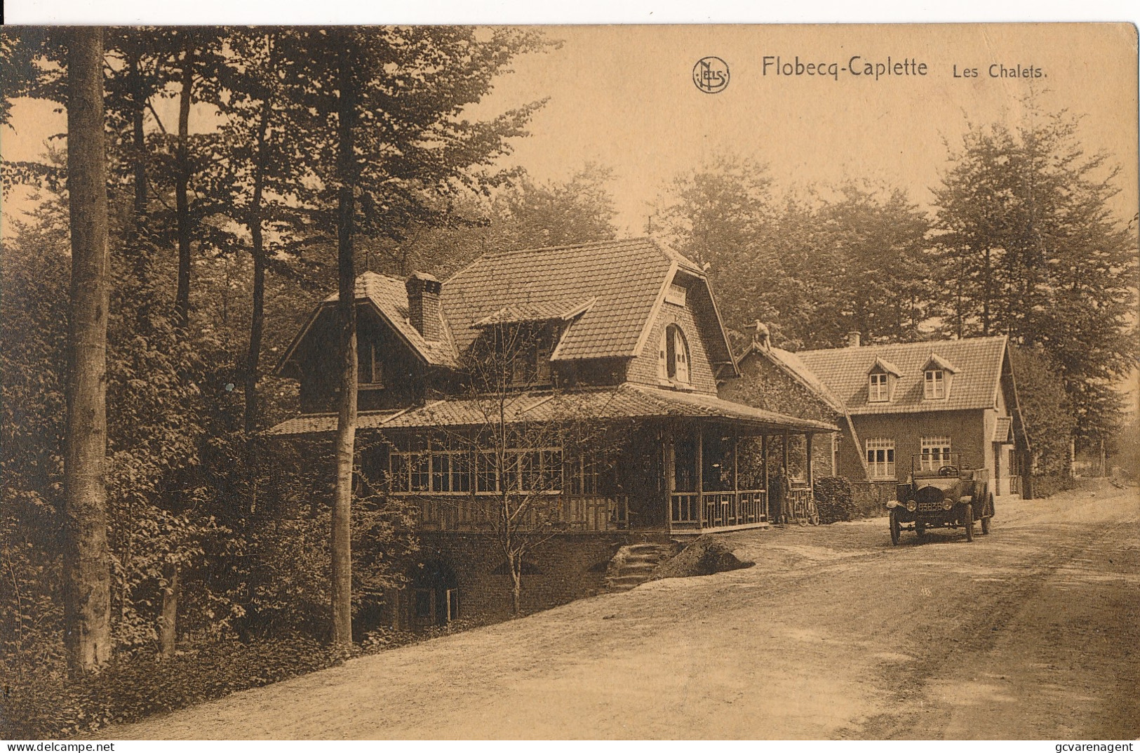 FLOBECQ CAPLETTE  LES CHALETS         ZIE AFBEELDINGEN - Flobecq - Vloesberg