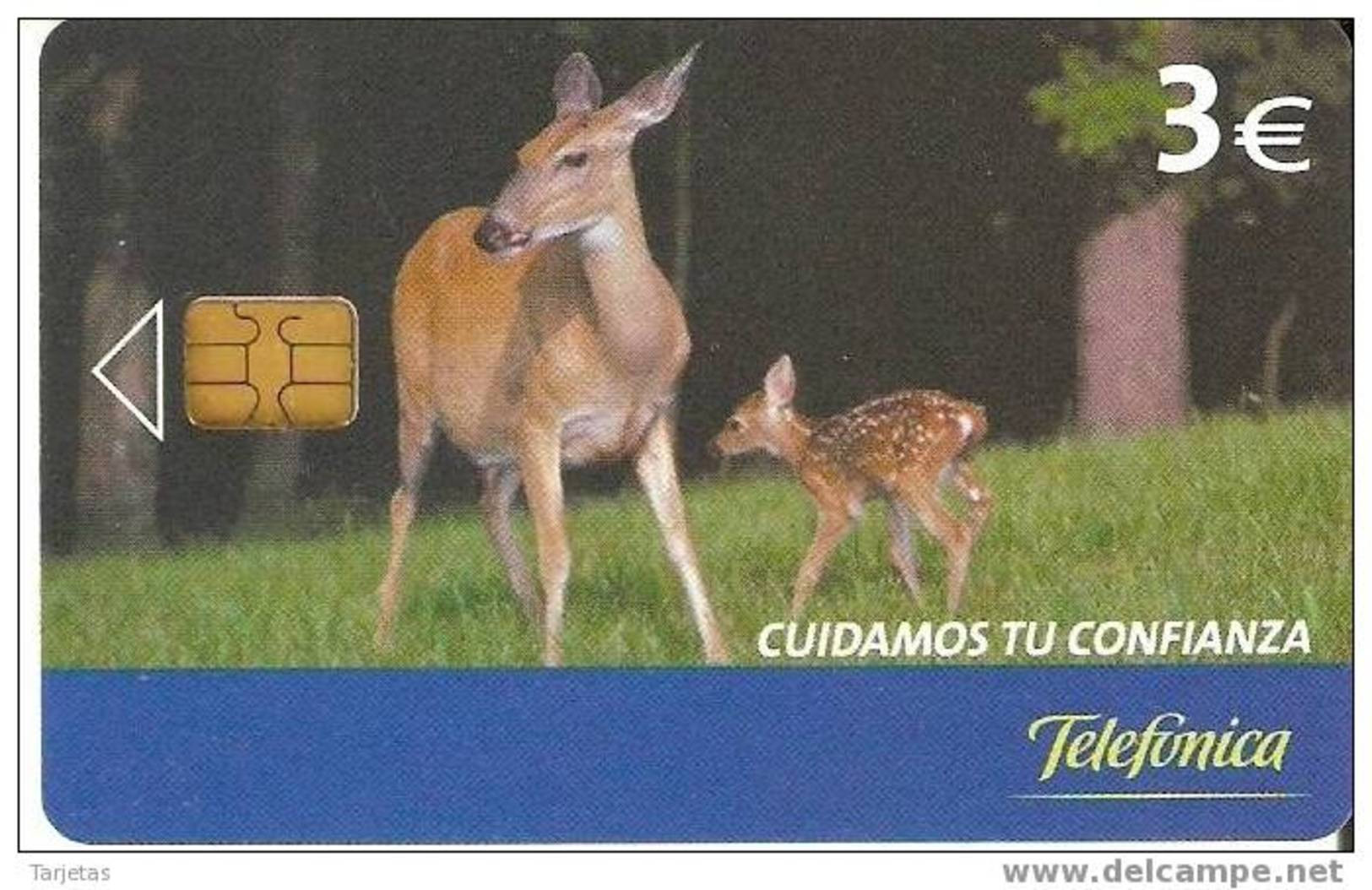 ¡OFERTA! P-580 TARJETA CIERVO Y CRIA DE TIRADA SÓLO 11500 (DEER) - Private Issues