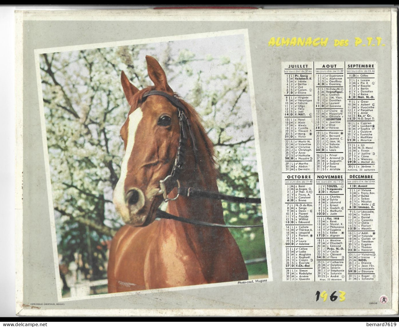 Almanach  Calendrier  P.T.T  -  La Poste -  1963 -  Chat- Cheval - Groot Formaat: 1961-70