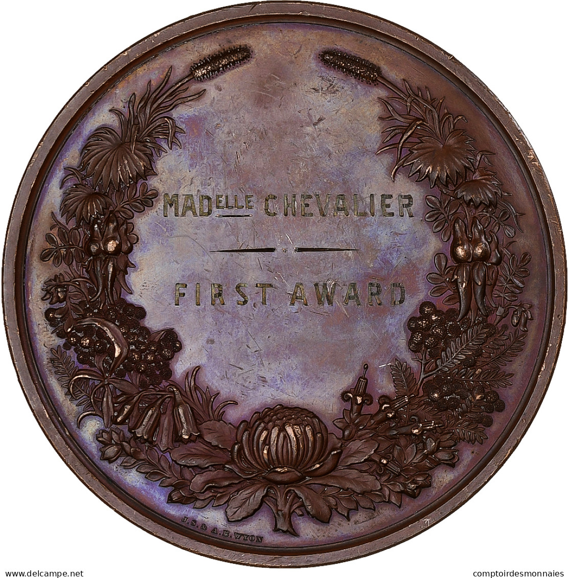 Australie, Médaille, Sydney International Exhibition, 1879, Bronze, Wyon, SUP - Andere & Zonder Classificatie