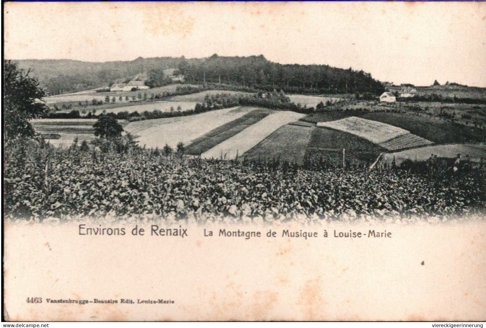 ! Alte Ansichtskarte Environs De Renaix, La Montagne De Musique A Louise-Marie, Belgien - Ronse