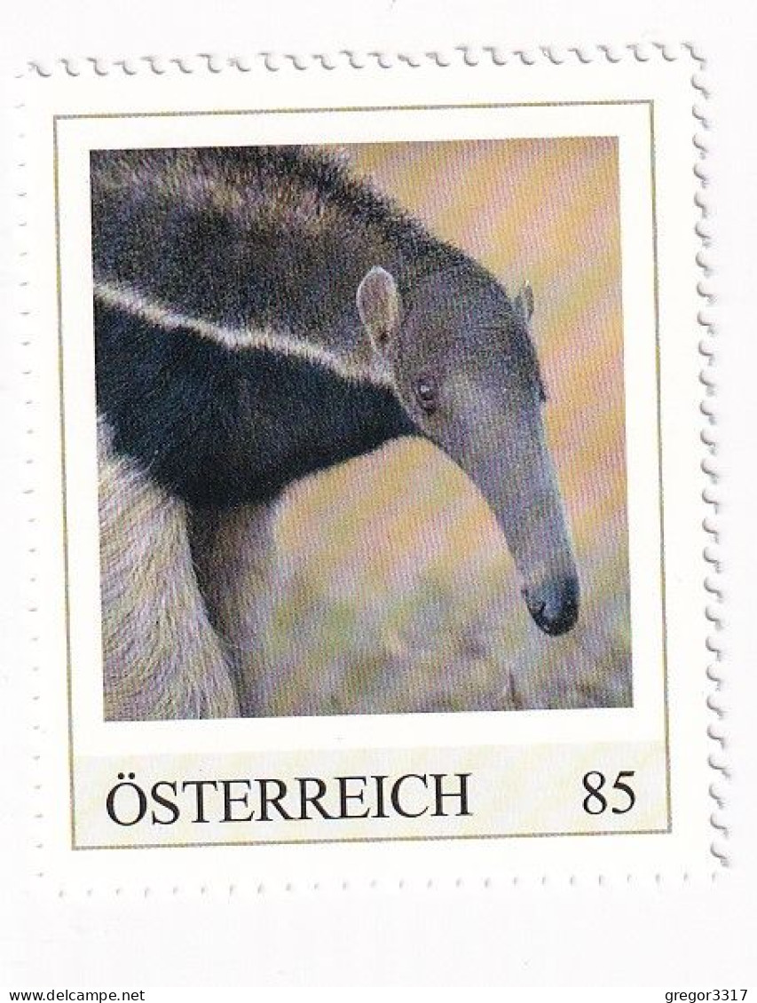 ÖSTERREICH - EXOTISCHE TIERE - Großer AMEISENBÄR AMERIKA  - Personalisierte Briefmarke ** Postfrisch - Persoonlijke Postzegels