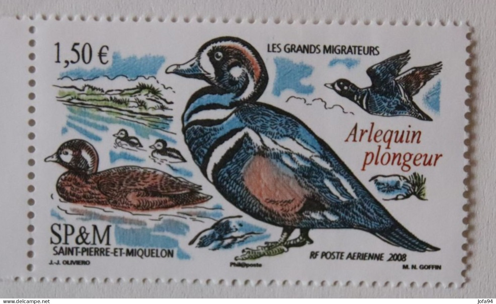 SPM 2008 Faune Oiseaux Arlequin Plongeur PA 88 Neuf - Unused Stamps