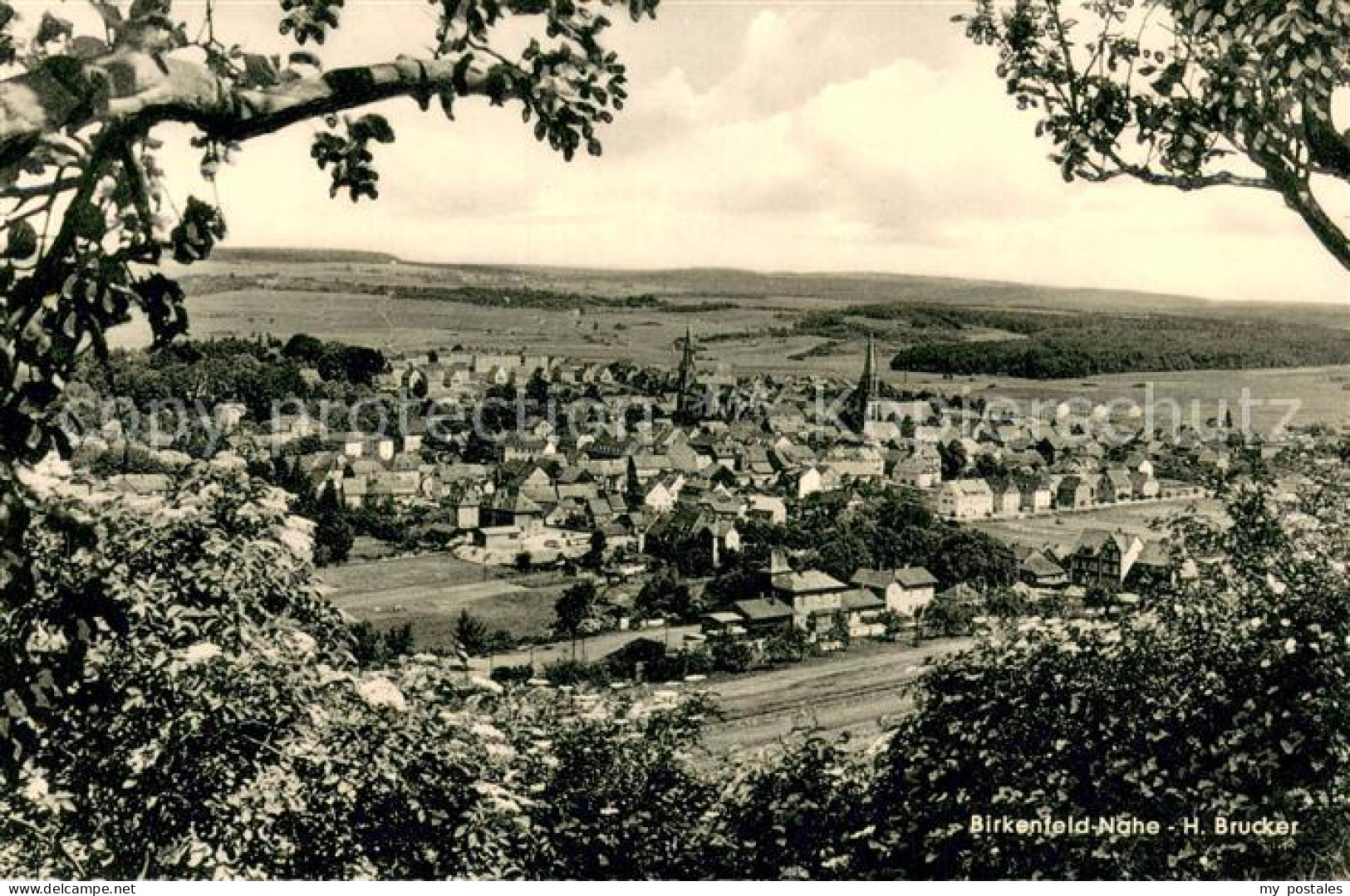 73694661 Birkenfeld Nahe Panorama Blick Ins Tal Birkenfeld Nahe - Birkenfeld (Nahe)