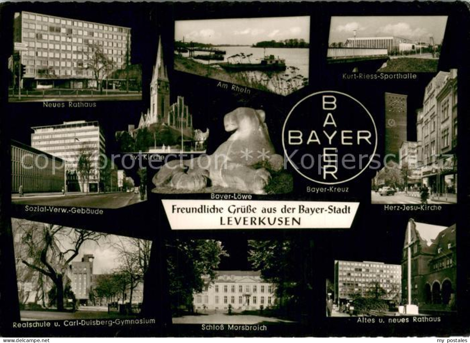 73694499 Leverkusen Bayer-Stadt Rathaus Rhein Schloss Morsbroich Bayer-Loewe Lev - Leverkusen