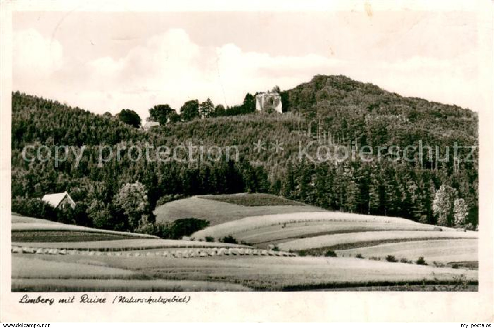 73694045 Oldendorf Wiehengebirge Limberg Mit Ruine Oldendorf Wiehengebirge - Melle