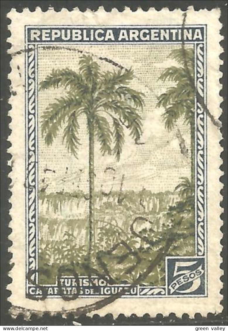 144 Argentina 1935 Chutes D'eau Iguacu Falls Palmier Palm Tree (ARG-188c) - Trees