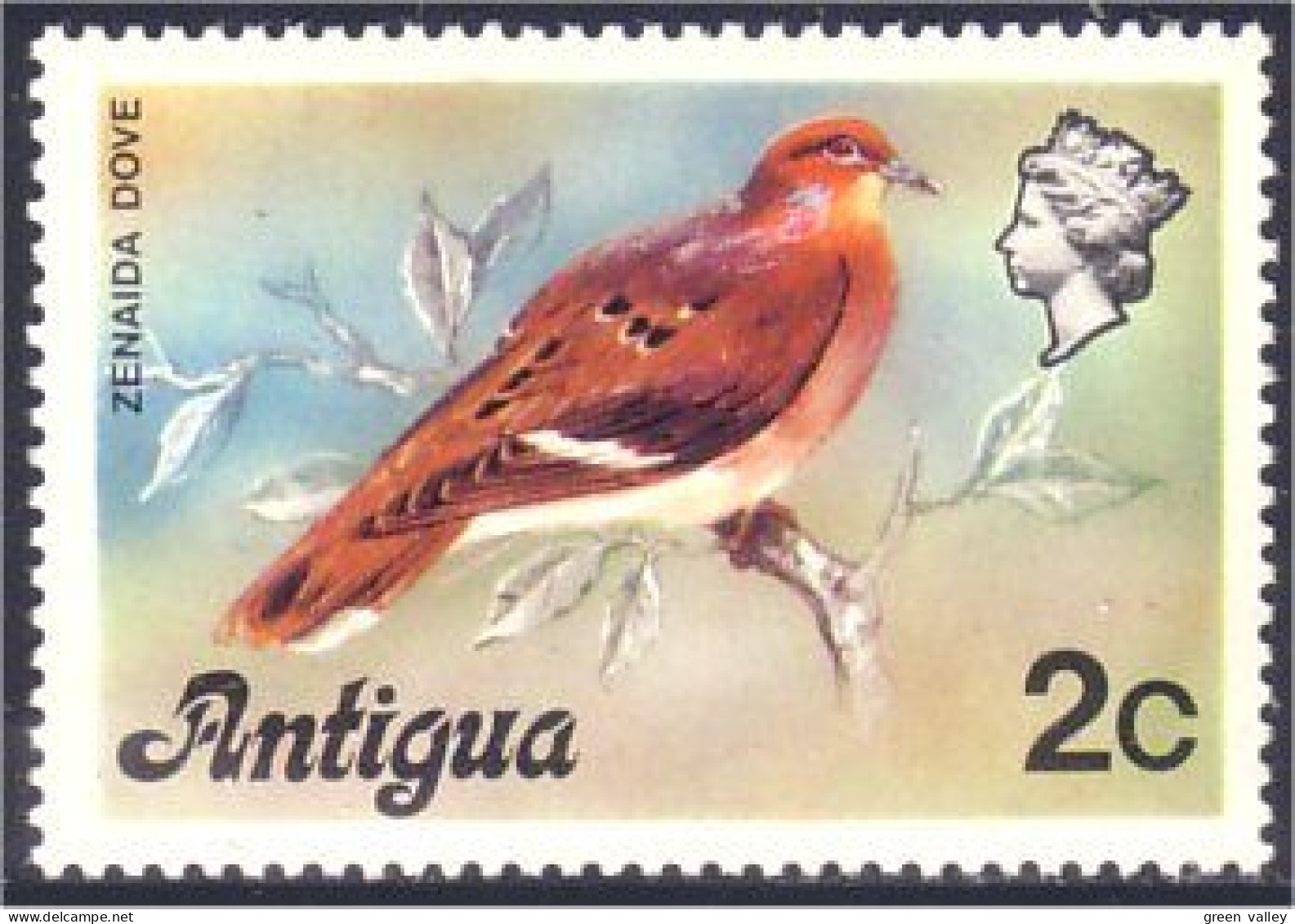 142 Antigua Colombe Zanaida Dove MH * Neuf (ANT-101) - Pigeons & Columbiformes