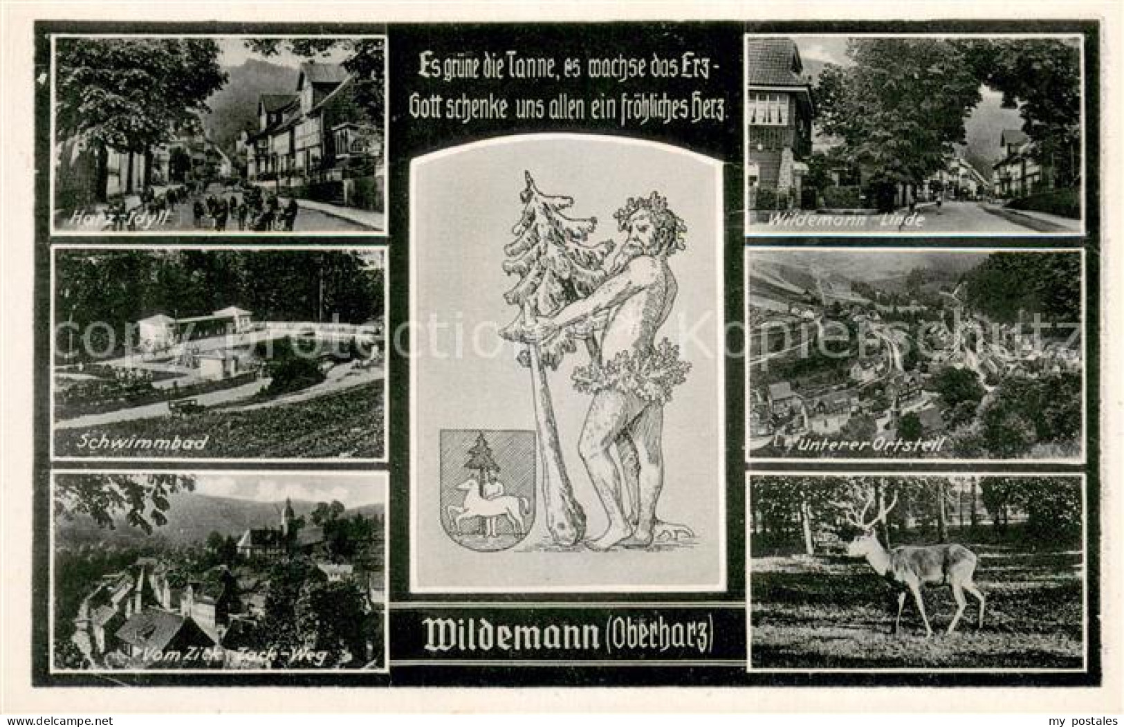 73693171 Wildemann Harz Idyll Schwimmbad Blick Vom Zick-Zack Weg Linde Unterer O - Wildemann