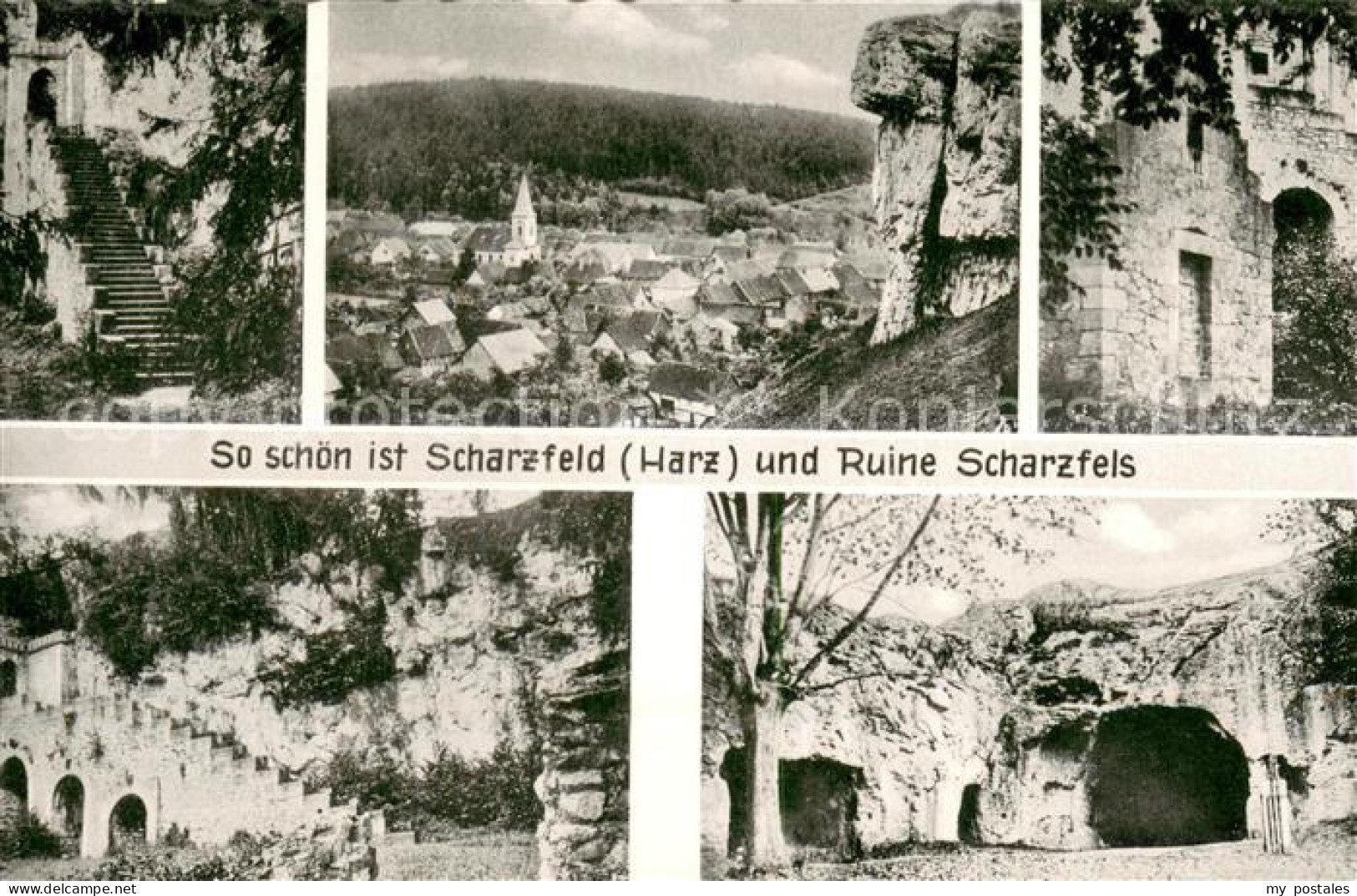 73693023 Scharzfeld Ruine Scharzfels Details Panorama Scharzfeld - Herzberg