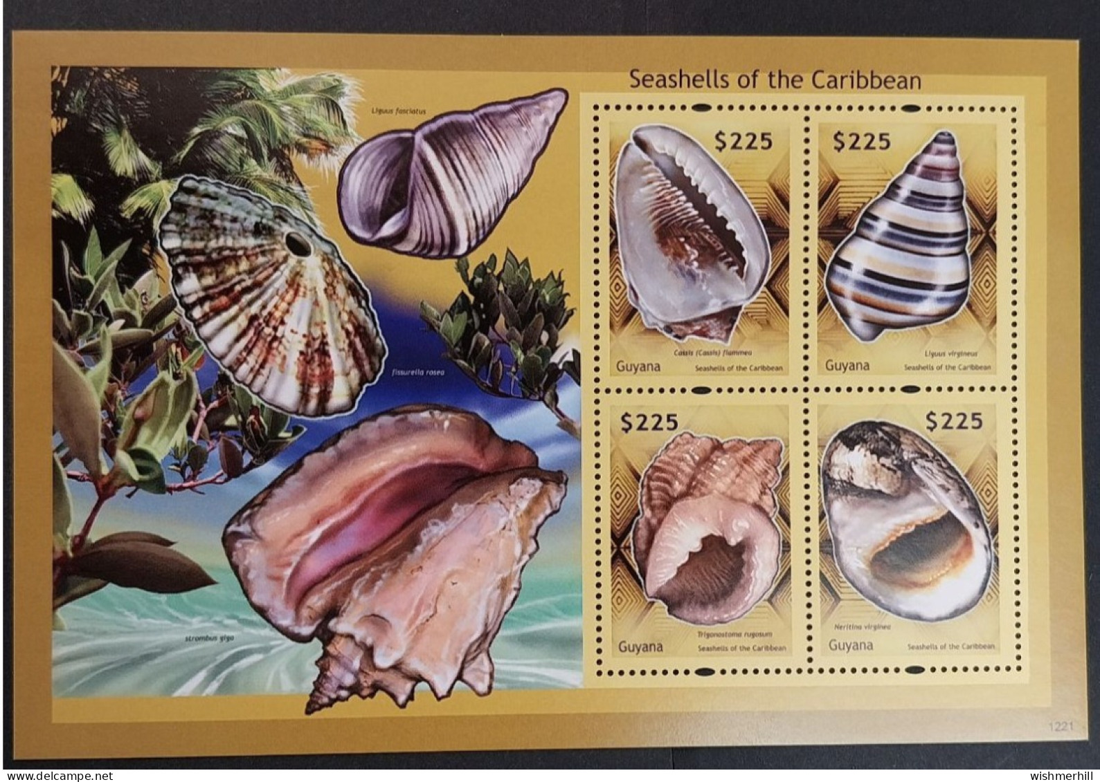 Coquillages Shells // Bloc Neuf ** MNH ; Guyana 6244/6247 (2012) Cote 15 € - Guyane (1966-...)