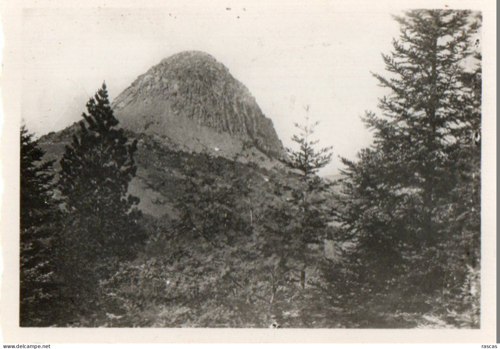 R - PETITE PHOTO FORMAT 8.8 X 6.4 - ARDECHE - LE MONT GERBIER DE JONCS - SOURCE DE LA LOIRE - Non Classificati