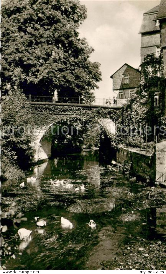 73692720 Wetzlar Das Lahnpfoertchen Bruecke Wasservoegel Wetzlar - Wetzlar