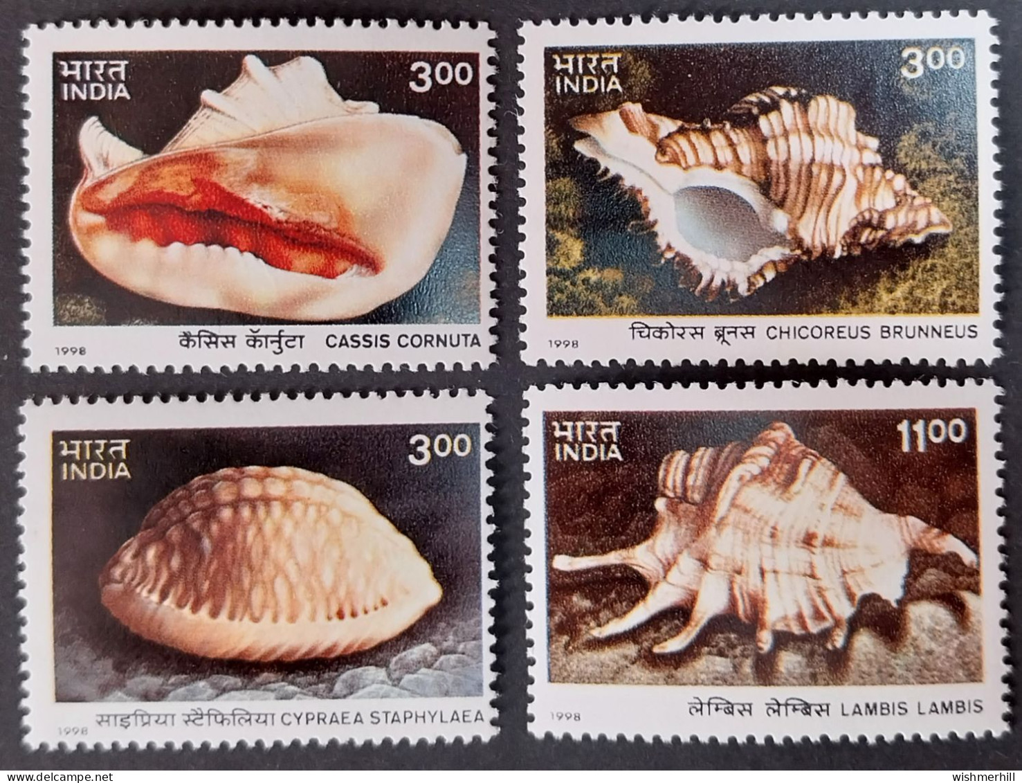 Coquillages Shells // Série Complète Neuve ** MNH ; Inde YT 1432/1435 (1998) Cote 5 € - Unused Stamps