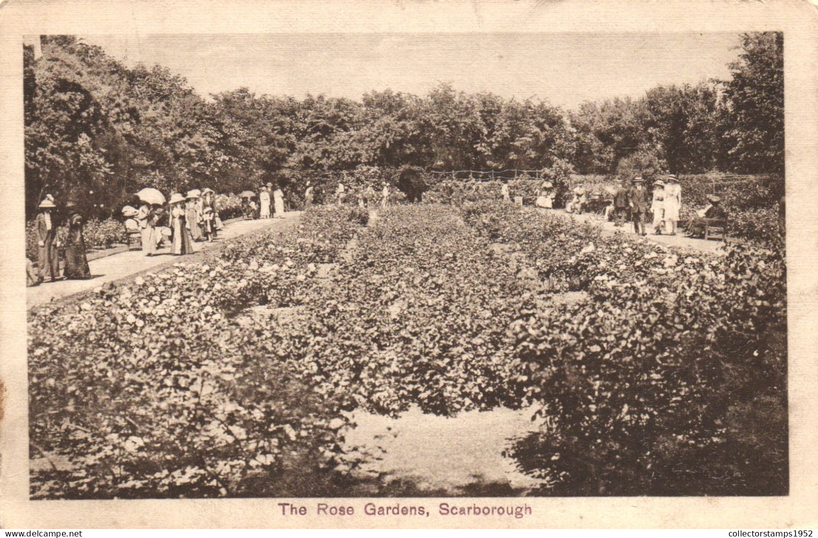 SCARBOROUGH, YORKSHIRE, ROSE GARDENS, UMBRELLA, ENGLAND, UNITED KINGDOM, POSTCARD - Scarborough