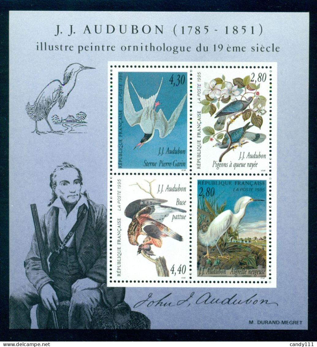 1995 Birds,Audubon,ornithologist,egret.pigeon,tern,buzzard,France,Mi. Bl. 16,MNH - Grues Et Gruiformes