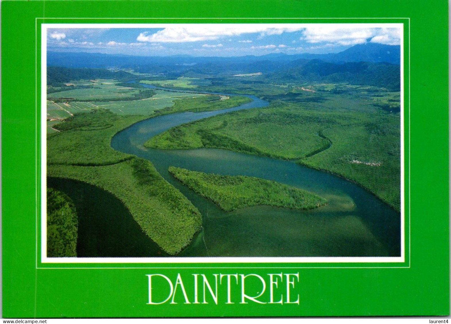 1-3-2025 (1 Y 35) Australia - QLD - Daintree (rainforest) - Far North Queensland