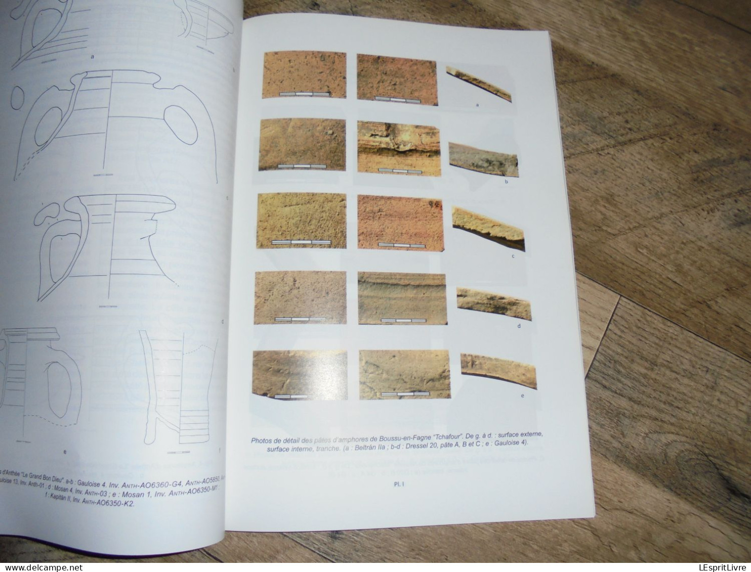 ARCHEO SITULA 31 2011 CEDARC Treignes Régionalisme Archéologie Spiennes Treignes Viroinval Tongres Fagnolle Vodelée