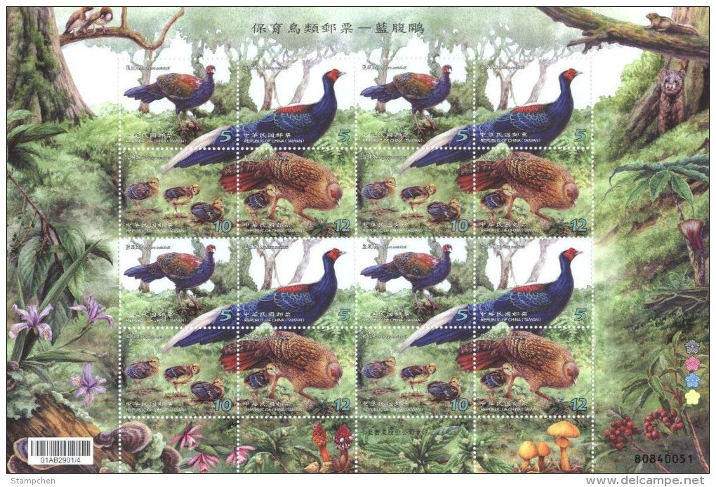 Taiwan 2014 Conservation Birds Stamps Sheet-Swinhoe Pheasant Mother Bird Forest Fern Squirrel Fungi Mushroom Fruit - Blocks & Sheetlets