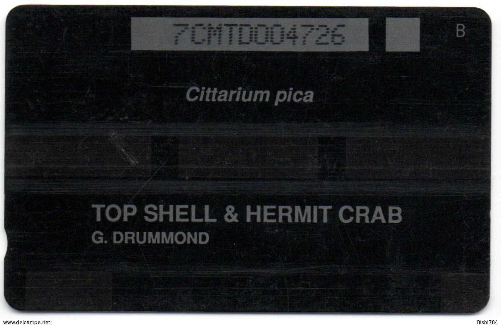 Montserrat - TOP SHELL & HERMIT CRAB - 7CMTD - Montserrat