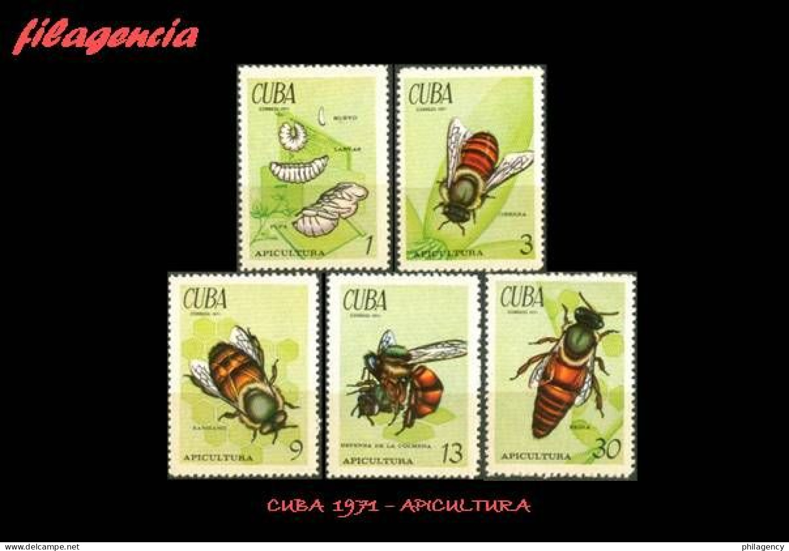 CUBA MINT. 1971-13 FAUNA. APICULTURA - Nuevos