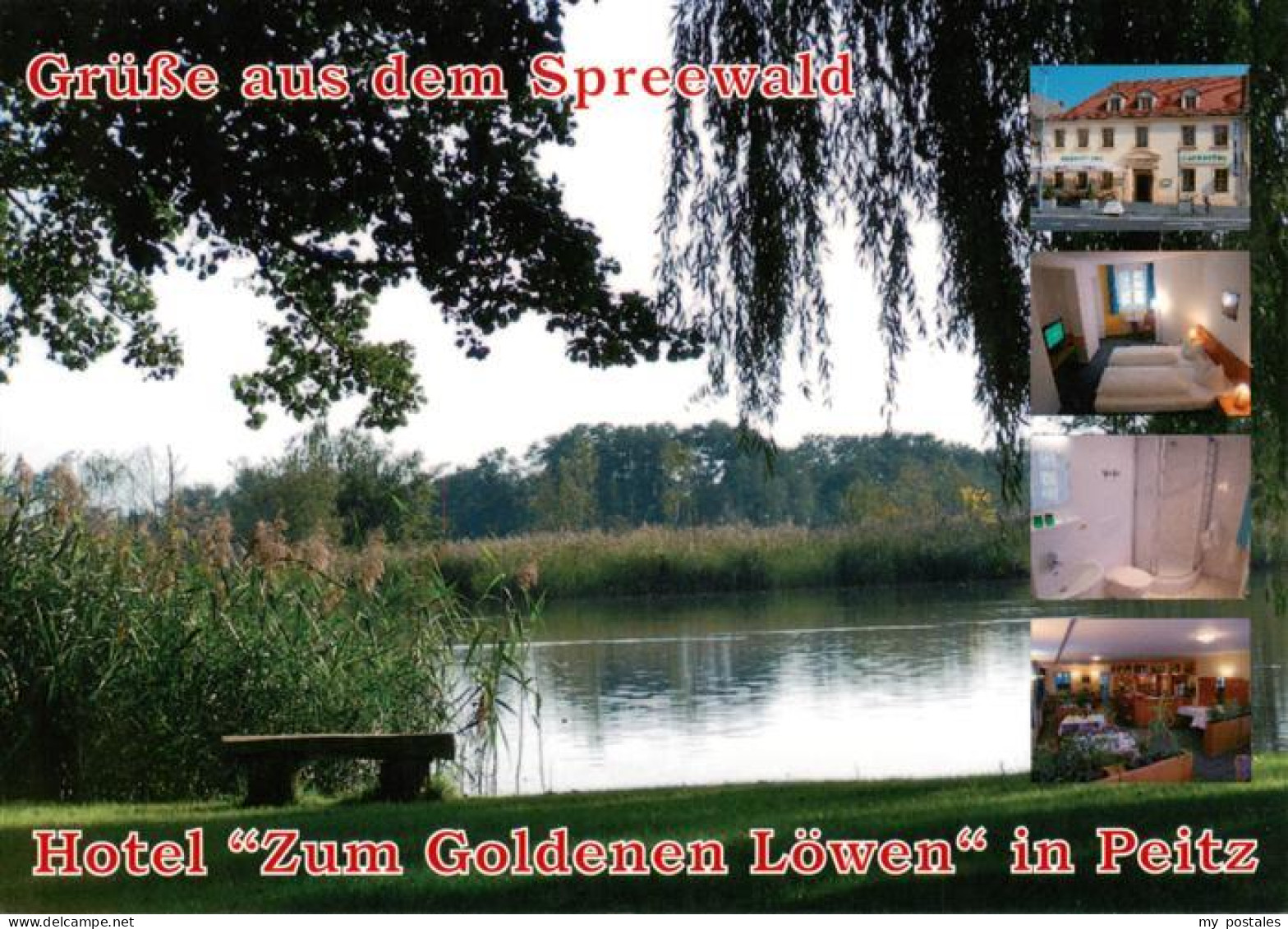 73880512 Peitz Hotel Zum Goldenen Loewen Spreewaldpartie Peitz - Peitz