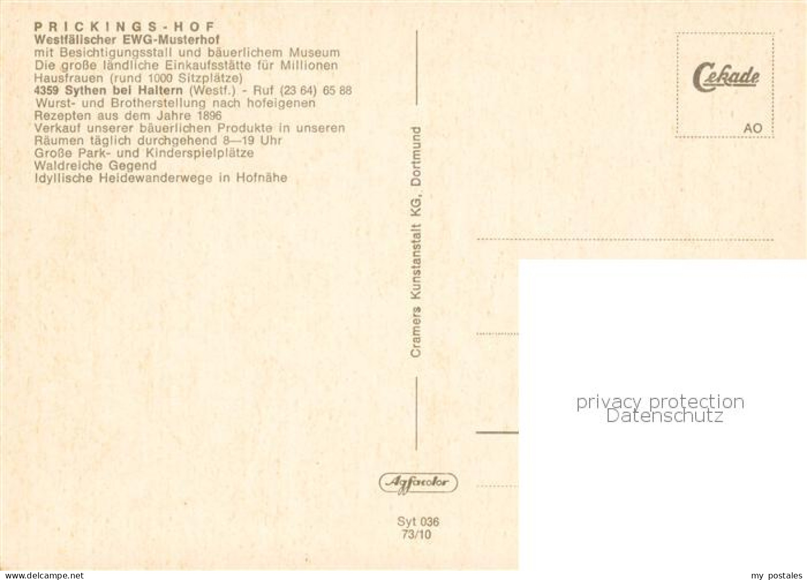 73846232 Sythen Haltern Prickings Hof EWG Musterhof Sythen Aufzuchtstall Gang Du - Haltern