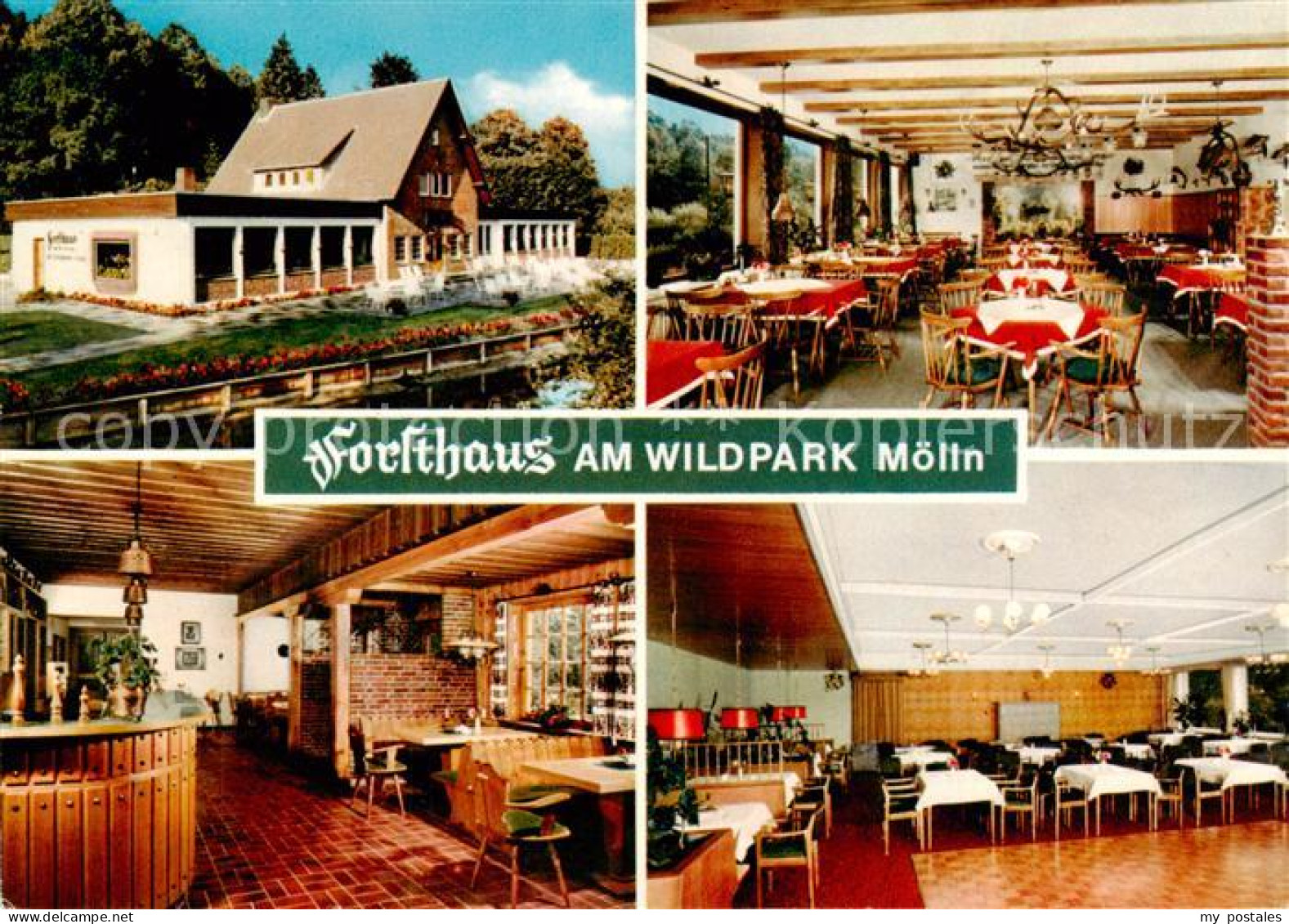 73845982 Moelln  Lauenburg Forsthaus Am Wildpark Gastraeume Theke S  - Mölln