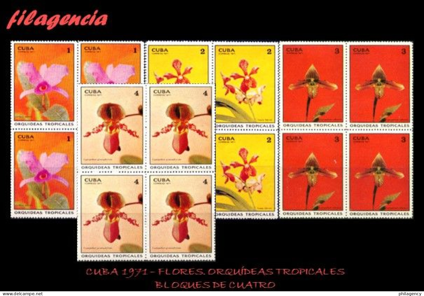 CUBA. BLOQUES DE CUATRO. 1971-11 FLORA. ORQUÍDEAS TROPICALES. PRIMERA SERIE - Nuovi