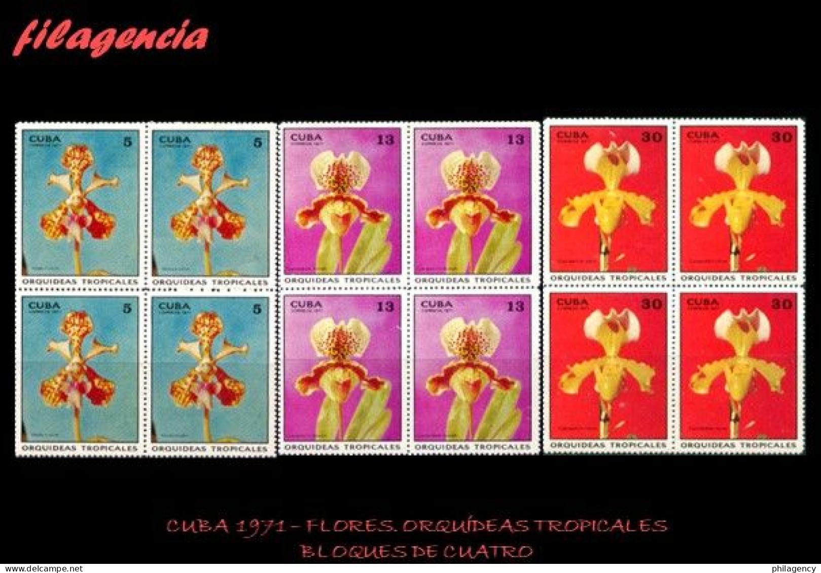 CUBA. BLOQUES DE CUATRO. 1971-11 FLORA. ORQUÍDEAS TROPICALES. PRIMERA SERIE - Ungebraucht