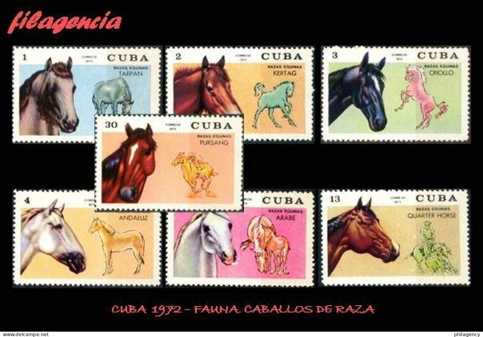 CUBA MINT. 1972-13 FAUNA. CABALLOS DE RAZA - Nuevos