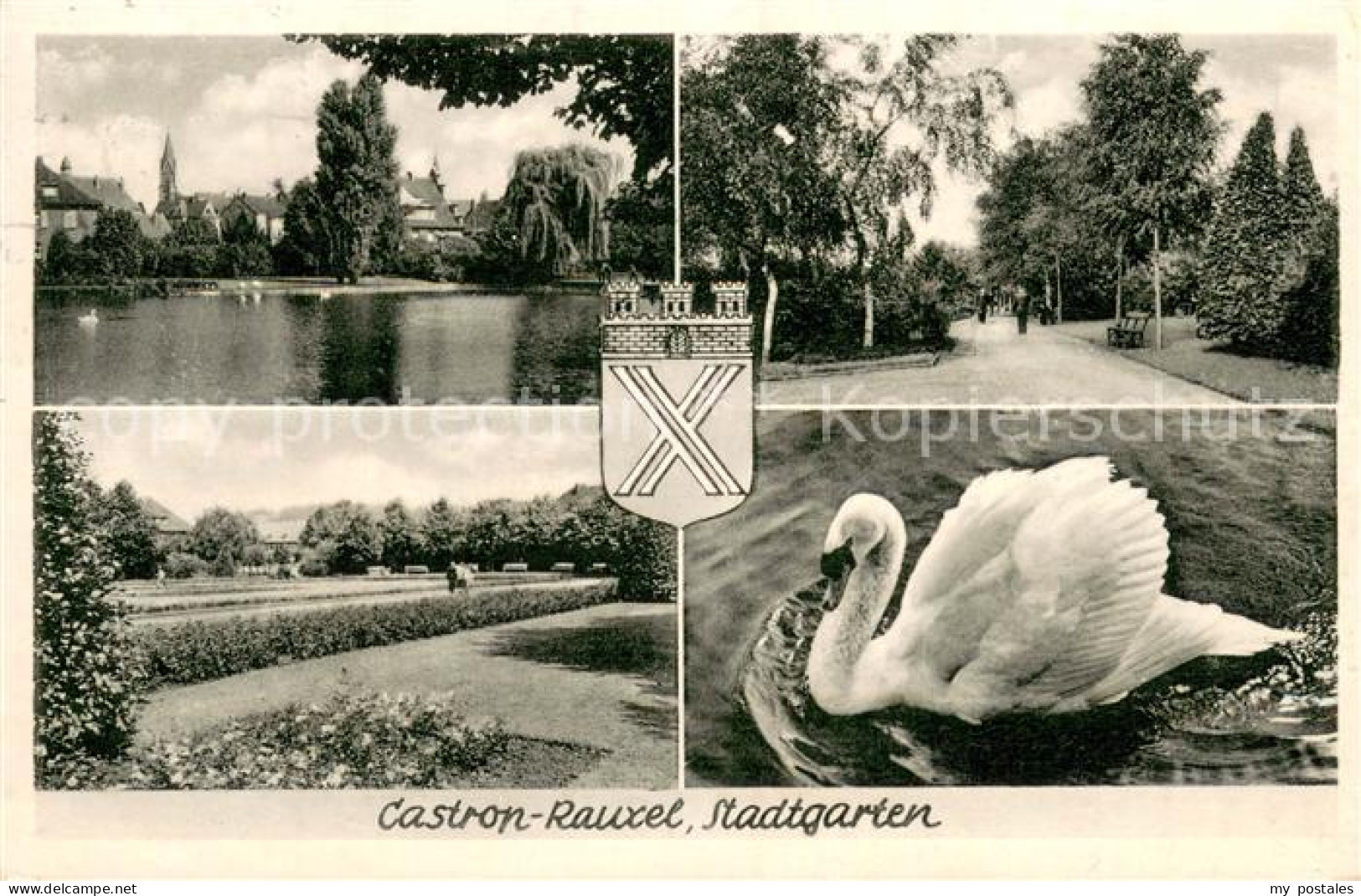 73691254 Castrop-Rauxel Stadtgarten Schwaene Park Castrop-Rauxel - Castrop-Rauxel