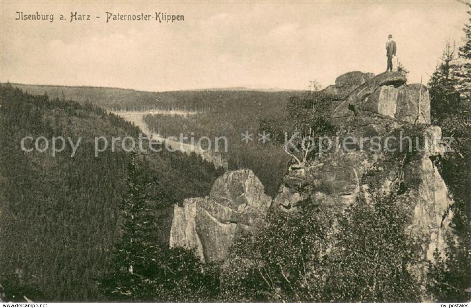 73691079 Ilsenburg Harz Paternosterklippe Harzklippen Felsen Landschaftspanorama - Ilsenburg