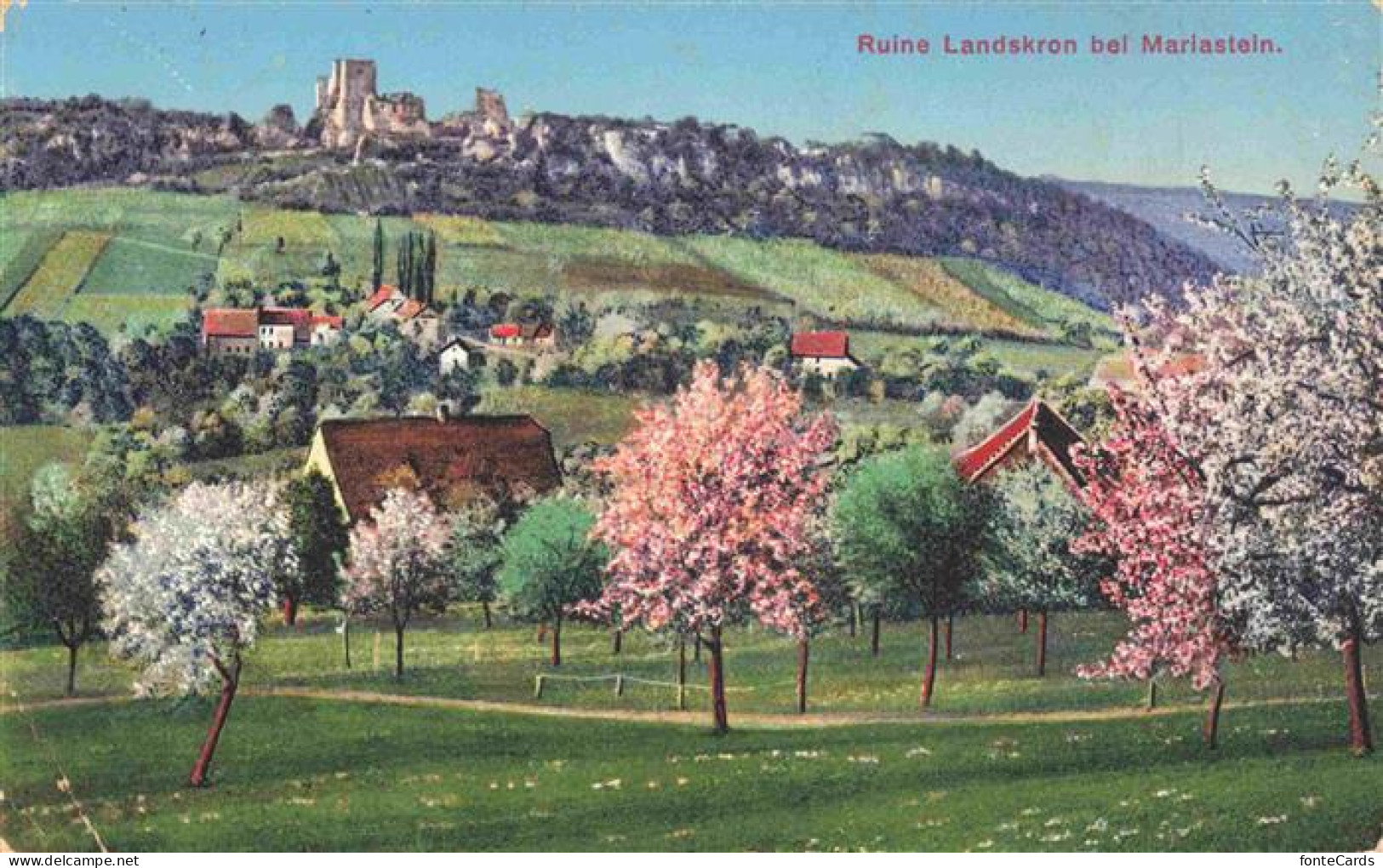 13961491 MARIASTEIN_SO Panorama Blick Zur Ruine Landskron Baumbluete - Autres & Non Classés