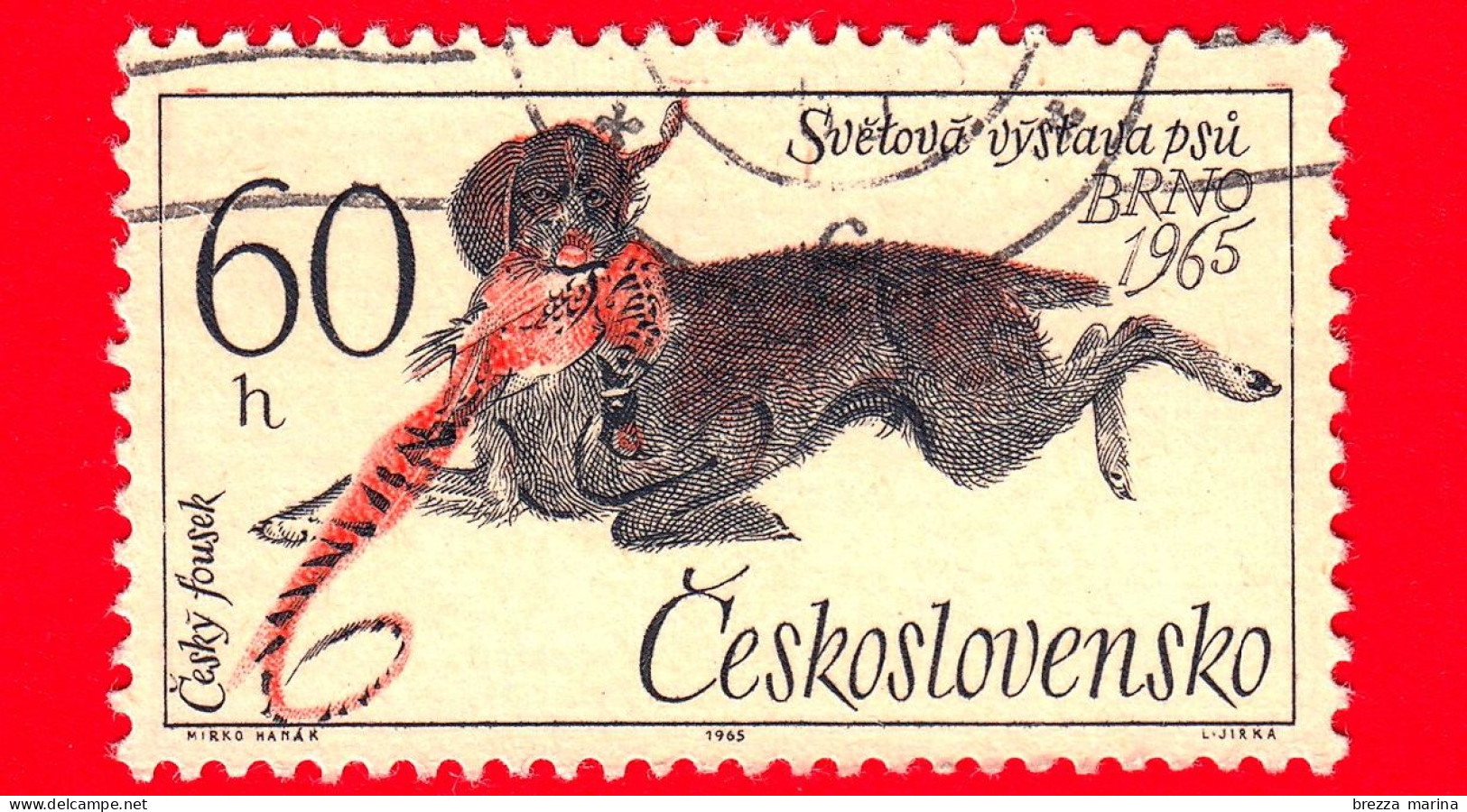 CECOSLOVACCHIA - Usato - 1965 - Giornate Mondiale Della Cinofilia, Cecoslovacchia - Cani - (Canis Lupus Familiaris) - 60 - Gebraucht