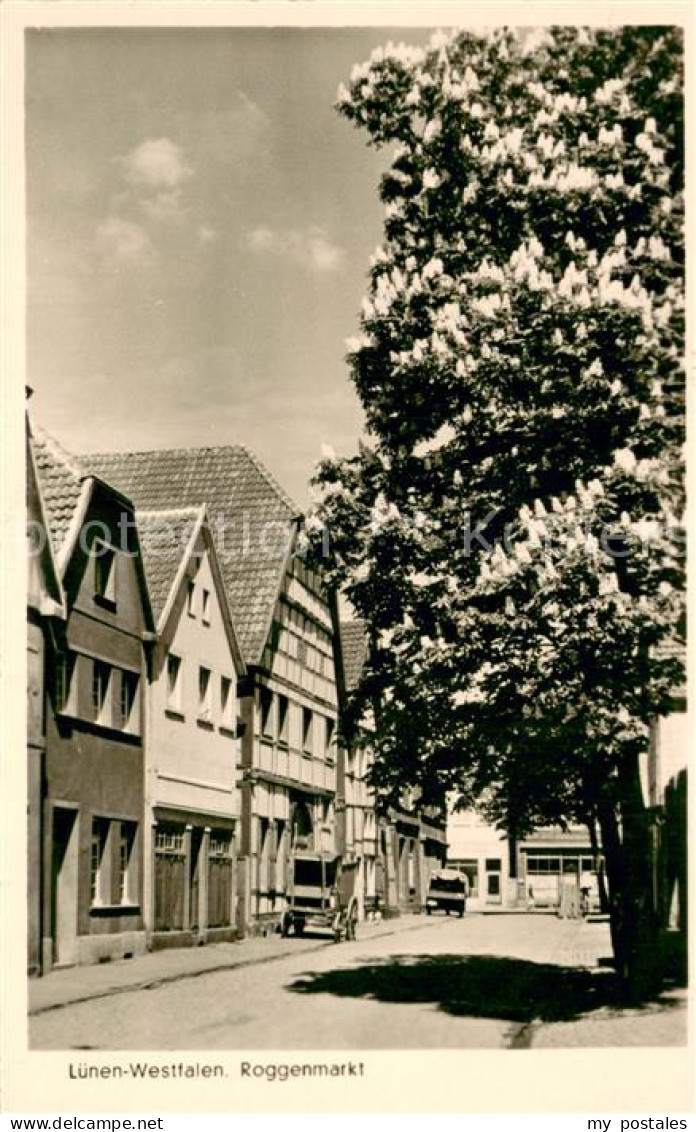 73690011 Luenen Roggenmarkt Kastanienbaum Luenen - Lünen