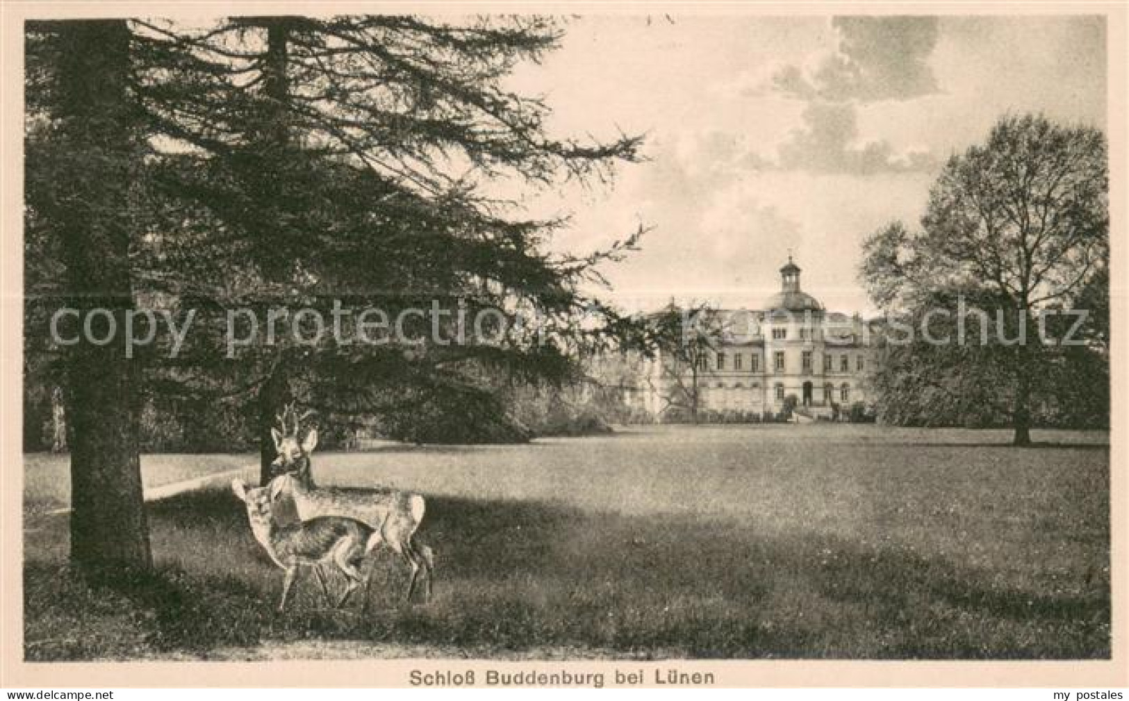 73690010 Luenen Schloss Buddenburg Rehe Parkanlagen Kuenstlerkarte Luenen - Lünen