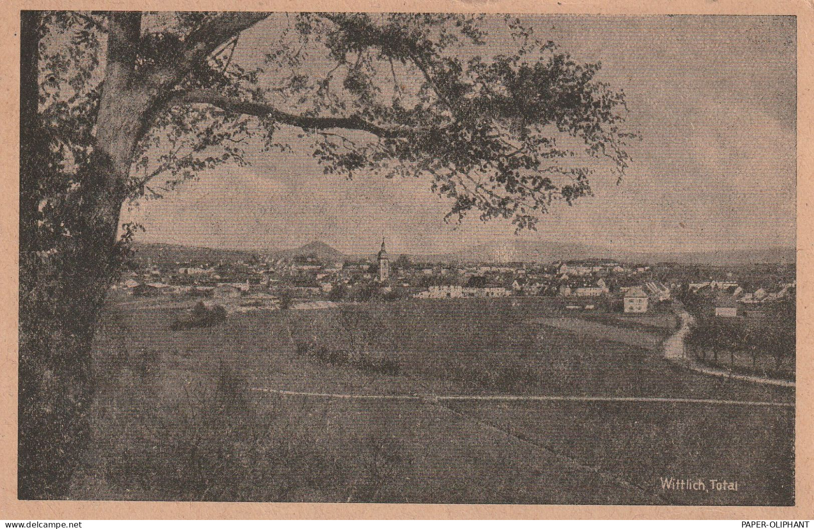 5560 WITTLICH, Blick über Den Ort, Franz. Besatzungszeit - Wittlich