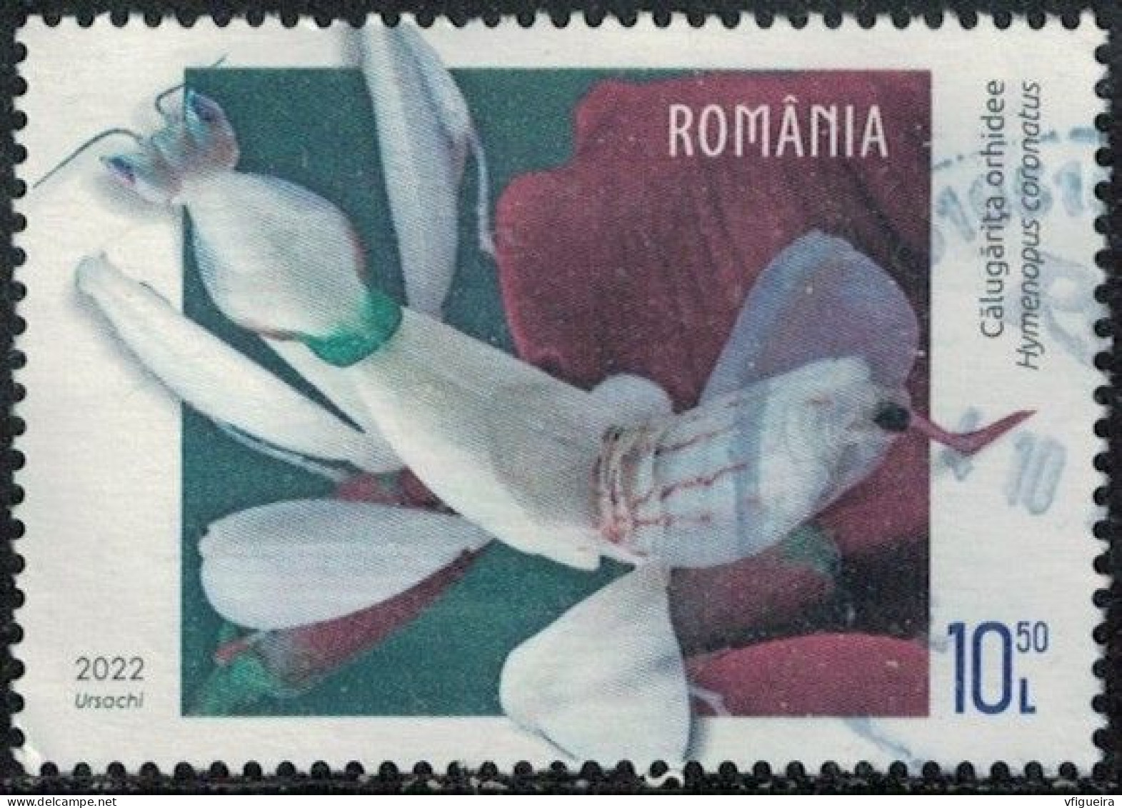 Roumanie 2022 Oblitéré Used Insecte Animal Hymenopus Coronatus Mante Orchidée Y&T RO 6797 SU - Used Stamps